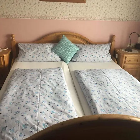 ホテル Zum Lahnfelsen *